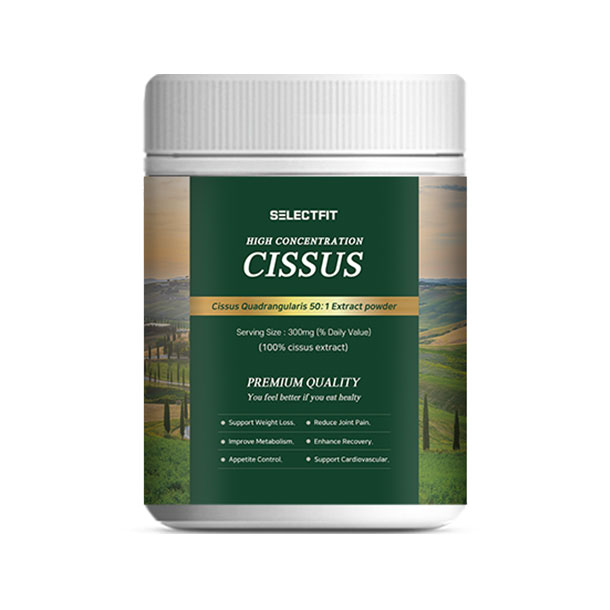 셀렉트핏 <b>시서스</b>가루 300g, 2개