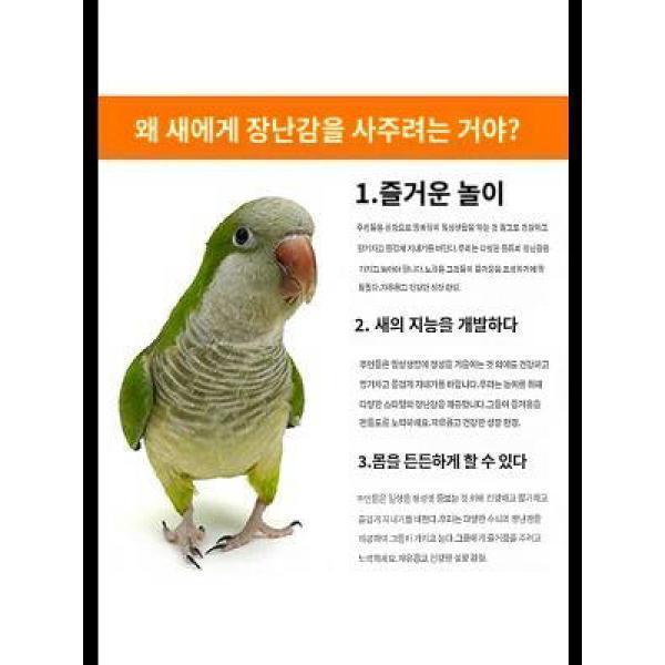 앵무새 전용 그네 링 장난감 오징어뼈 해먹 새장 스탠드 맷돌 현봉 작은 <b>태양</b> 맷돌 물어뜯기