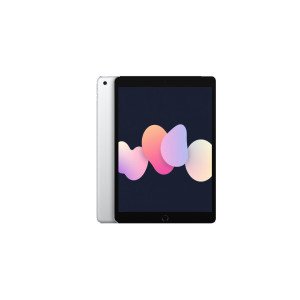 애플 APPLE 아이패드 9세대 Wi-Fi전용 256GB 실버 미개봉 새상품 오늘출발