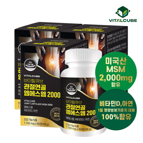 바이탈큐브 관절연골 엠에스엠 2000