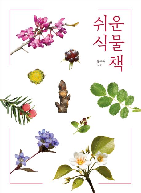 쉬운식물책