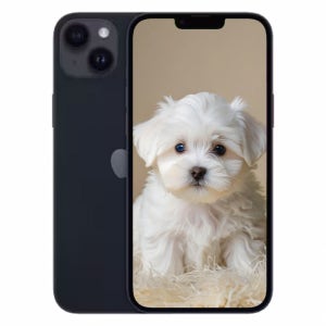 광고 메인 이미지