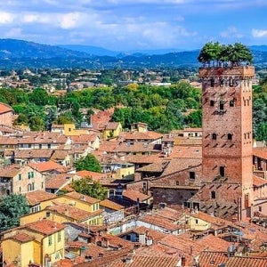 피사 & 루카 프라이빗 일일 투어 (피렌체 출발)