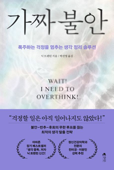 가짜 불안  : 폭주하는 걱정을 멈추는 생각 정리 솔루션