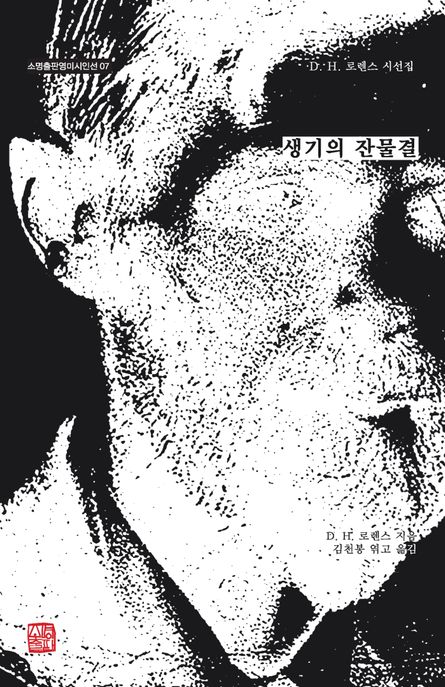 생기의 잔물결 : D.H.로렌스 시선집 