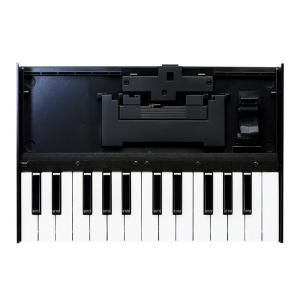 Roland 롤랜드 RolAND 부티크 모듈 도크 USB MIDI 미디 키보드 12 K-25M