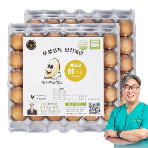 (신선집중) 닥터안스에그 햇달걀 60구 /중란 무항생제 계란