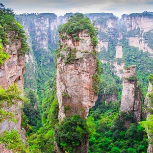 장가계 국가삼림공원 종일 프라이빗 투어(줄 서기 면제)