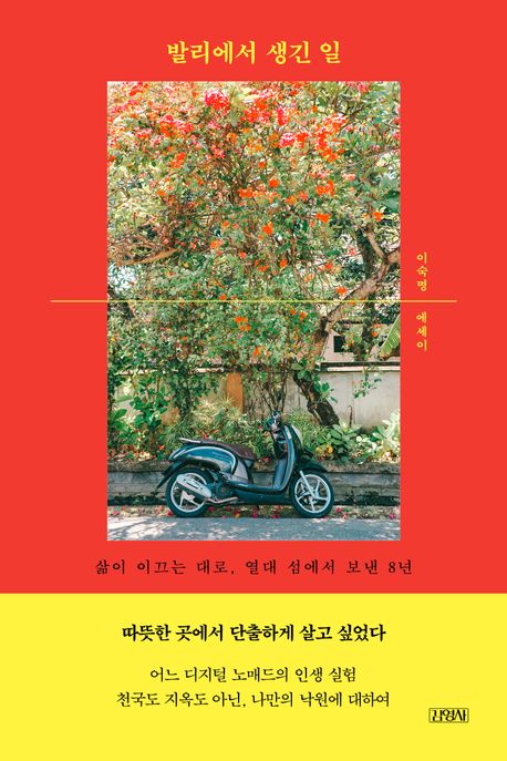 발리에서 생긴 일 표지