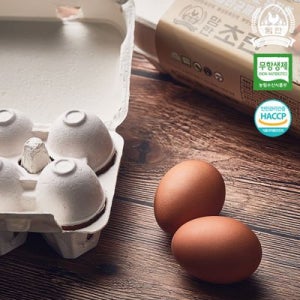 [한솔양계 맘란] 무항생제 유정란 초란 30구 / 살모넬라 안심 KAIST 서민갑부 계란