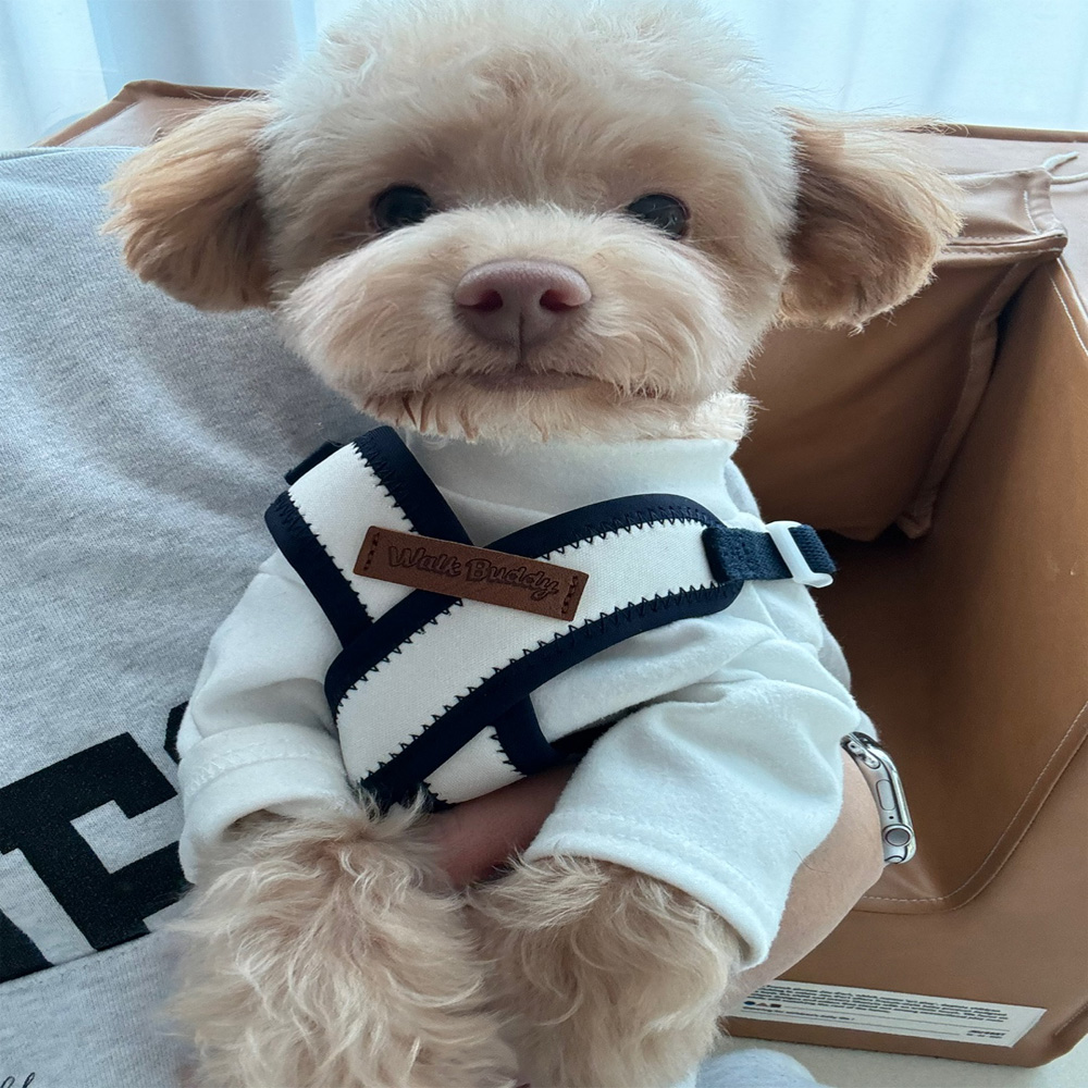 워크버디 X형 강아지 하네스 가슴줄