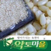 약토마을 백미/生현미/찹쌀현미20kg15kg10kg햅쌀