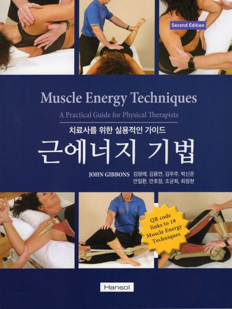 근에너지 기법: 치료사를 위한 실용적인 가이드 (치료사를 위한 실용적인 가이드)