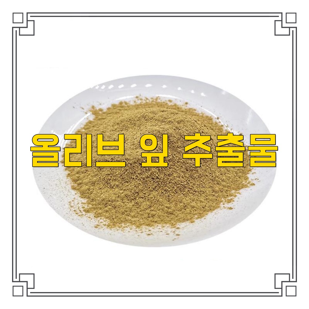 30배 농축 <b>올리브 잎</b> <b>추출물</b>  1개  200g