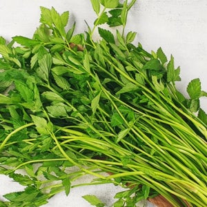 향미가 좋은 국산 미나리 600g