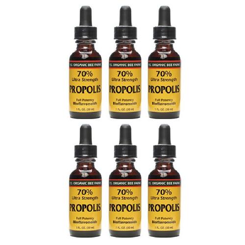 6개 <b>Y.S. 에코 비 팜</b> 프로폴리스 70% 울트라 스트랭스 1fl oz 30ml