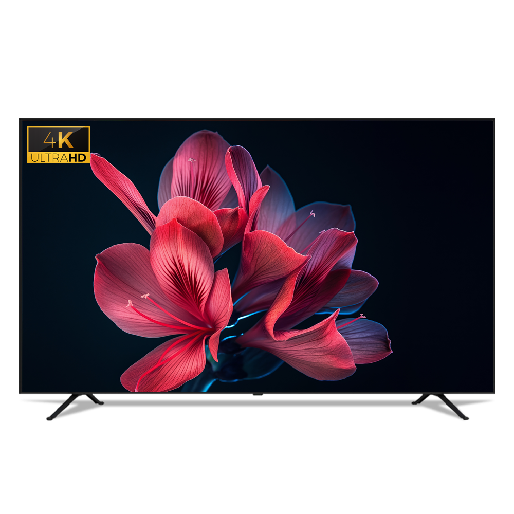 와사비망고 ZEN U650 UHD TV MAX HDR 164cm(65인치), 스탠드