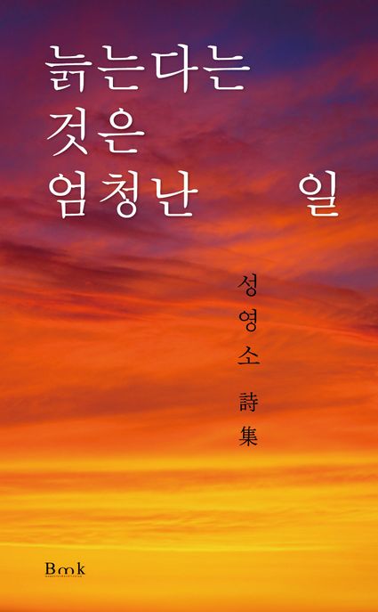 일(1) 이미지