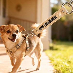 강아지 양면 메세지 중간 리드줄 산책,외출 리드줄, 손이열일