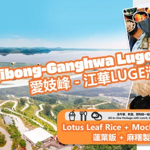 애기봉 평화생태공원 & 연잎밥 + 찹쌀떡 만들기 체험 & 강화 루지