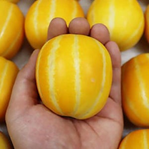 성주 가정용 한입 꿀참외 5kg