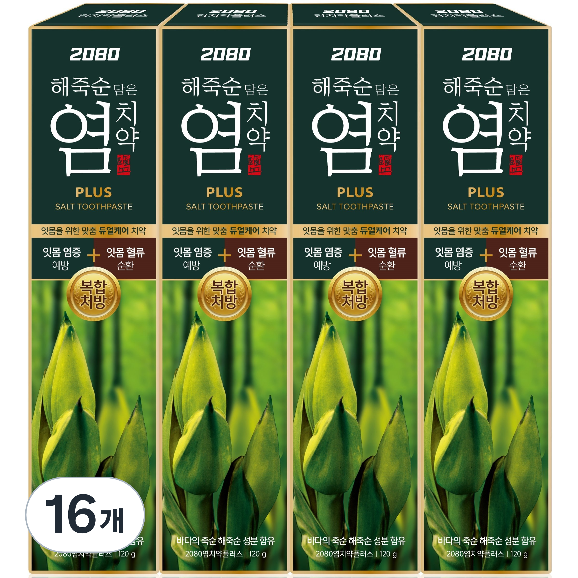 프리미엄 덴티 플러스 2080