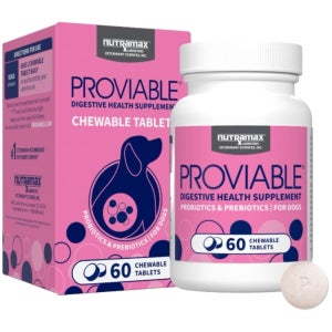 뉴트라맥스 프로바이어블 DC 강아지 유산균 50억 츄어블 60정