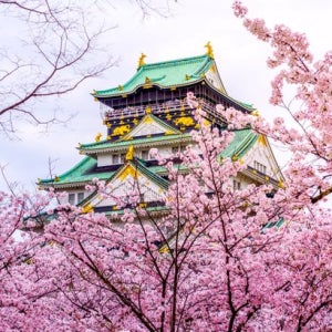 일본 노노미야신사 부산 3~4일 노랑풍선 교토여행패키지 명절여행 휴양 니시키시장 커플