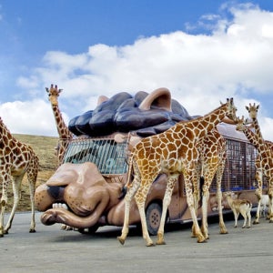 다케오 일본 MD 강추 청주 노랑풍선 탄가시장 3박4일 규슈여행패키지 겨울여행