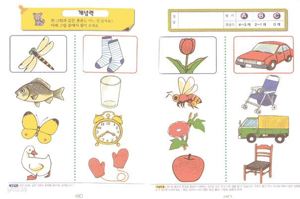 우리아이 지능계발 2 (관찰력,기억력,주의력,언어력,구성력,개념력,공간지각력을 통한)