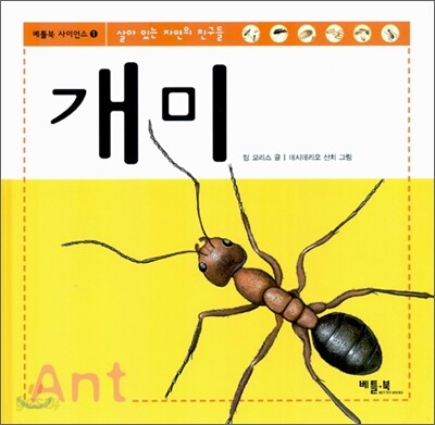 개미
