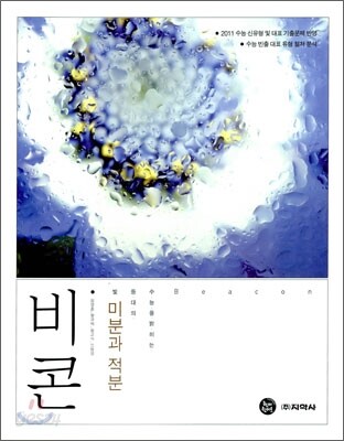 하이라이트 비콘 수학 미분과 적분 (2010년)