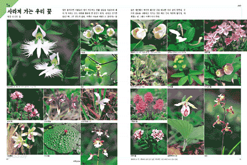 한낮인데 어두운 방