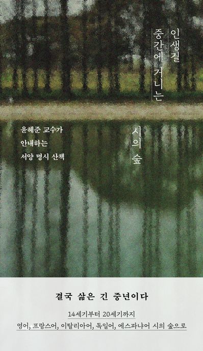 인생길 중간에 거니는 시의 숲 : 윤혜준 교수가 안내하는 서양 명시 산책