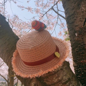 무지개 앵무새 밀짚 유아모자, Annasholiday