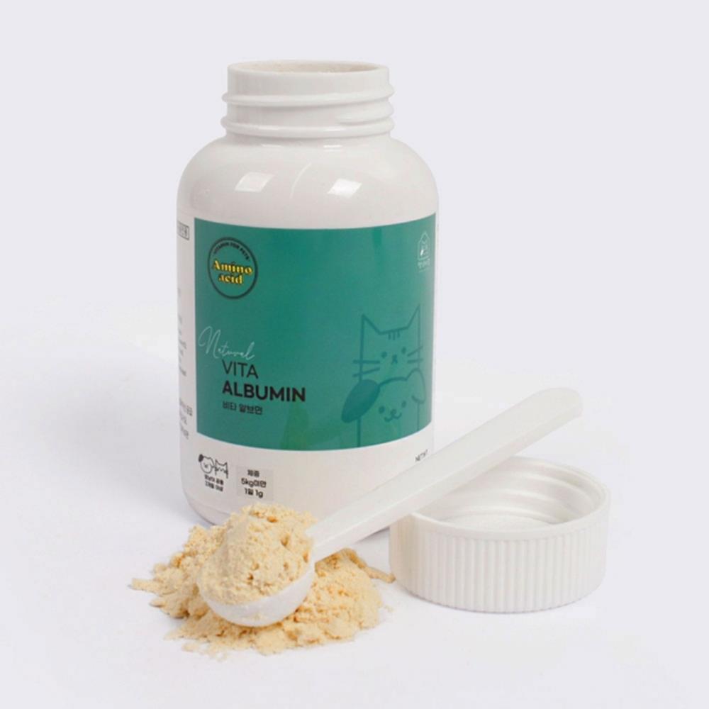 Golden Retriever (골든 리트리버)