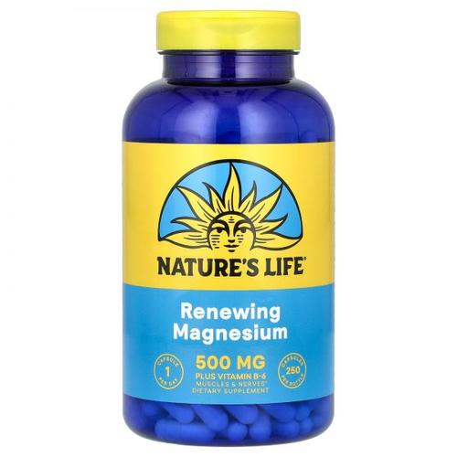 Nature’s Life, Renewing Magnesium, 500 mg, 250 Capsules