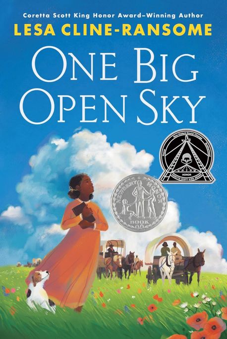 One big open sky
