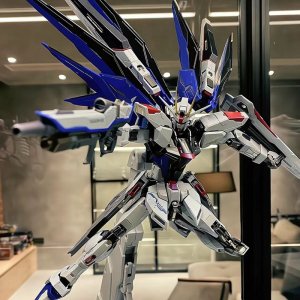 다반 HG 건담 건프라 프라모델 스트라이크 프리덤  MG Freedom  1개