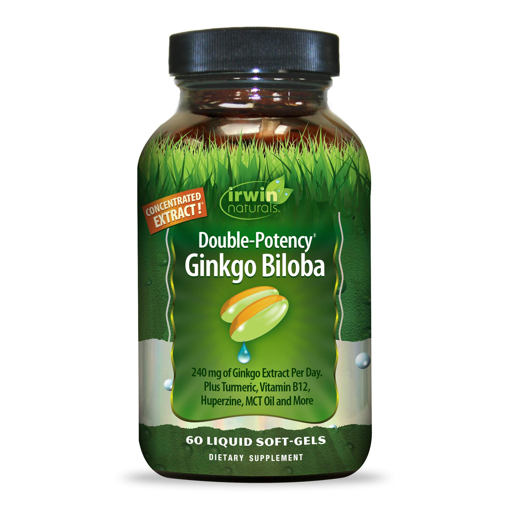 Irwin Natural 더블 포텐시 징코 빌로바 240mg 60정  1개