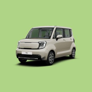 개인사업자장기렌트 48개월 기아 레이 EV 24년형 라이트 전기차 4인승 2WD