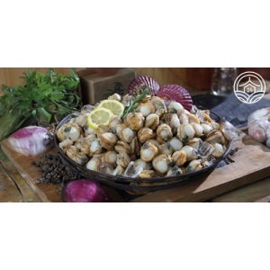 광고 메인 이미지