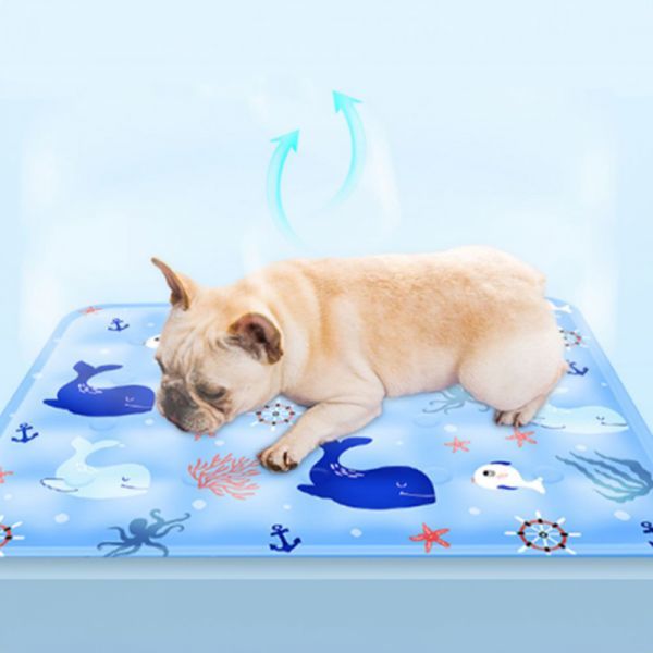 무더위극복 쿨 매트 시원한 여름 냉감 매트 방석겸용 2종사이즈