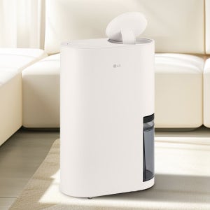 [으뜸효율 대상] LG 휘센 오브제컬렉션 제습기 DQ214MEGA