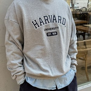 탄탄 하버드 레터링 맨투맨FREE [L-3XL]