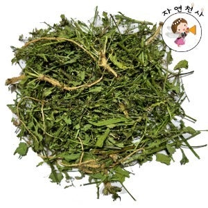야생 전초채취 건조 냉이100g 냉이차 깨끗한 손질 2025년 봄제품