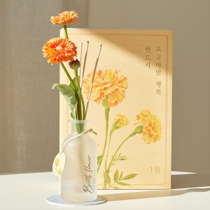 [1월생일화] 메리골드 디퓨저 : 반드시오고야말행복, ASPASIA 디퓨저 & 점보 꽃다발