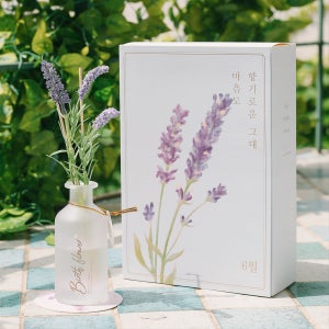 [6월생일화] 라벤더 디퓨저 : 마음의 평화와 안정, ASPASIA 디퓨저 & 점보 꽃다발