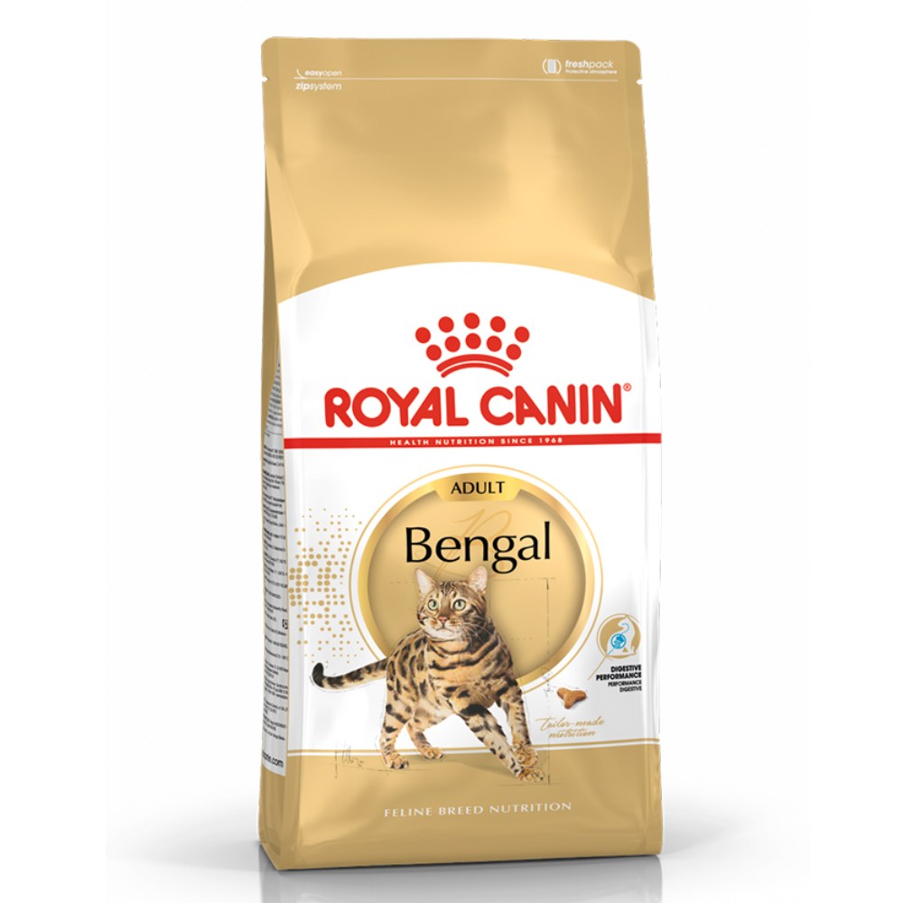 Bengal Cat (뱅갈 고양이)