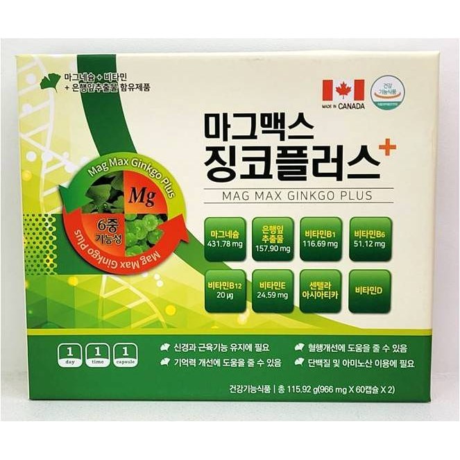 마그맥스 징코플러스